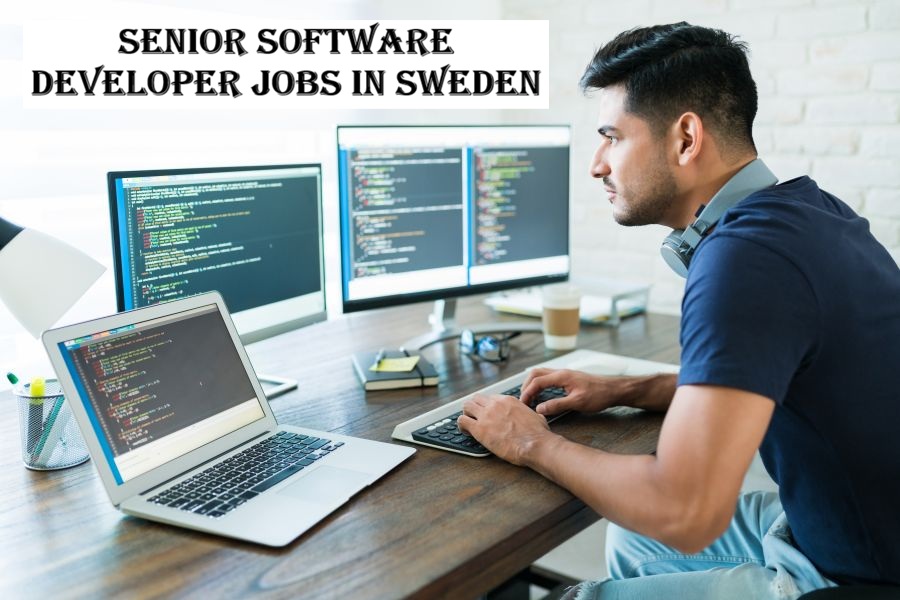 Senior Software Developer Jobs in Sweden