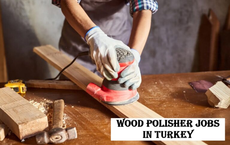 Wood Polisher Jobs in Turkey
