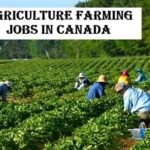 Agriculture Farming Jobs in Canada