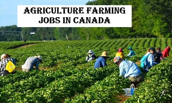 Agriculture Farming Jobs in Canada