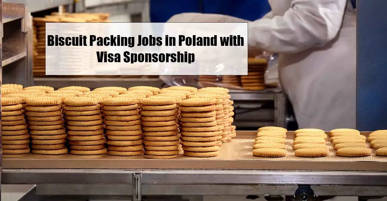 Biscuit Packaging Factory Jobs in Poland