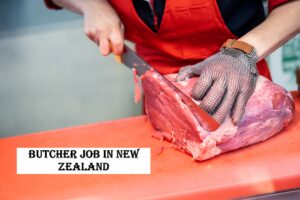 Butcher Job in New Zealand