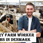 Dairy Farm Worker Jobs in Denmark