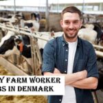Dairy Farm Worker Jobs in Denmark