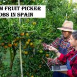 Farm Fruit Picker Jobs in Spain