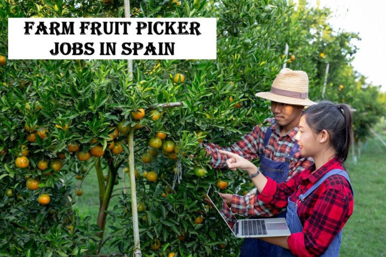 Farm Fruit Picker Jobs in Spain