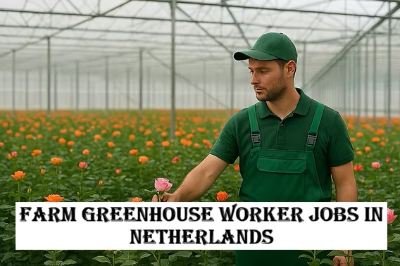 Farm Greenhouse Worker Jobs in Netherlands