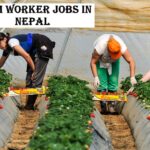 Farm Worker Jobs in Nepal