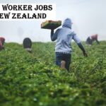 Farm Worker Jobs in New Zealand