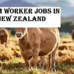Farm Worker Jobs in New Zealand
