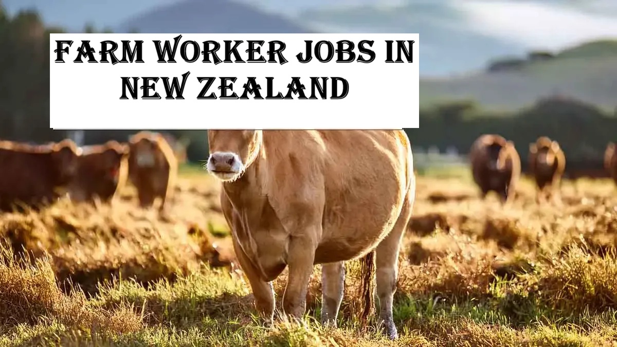 Farm Worker Jobs in New Zealand