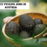 Fruit Picking Jobs in Austria