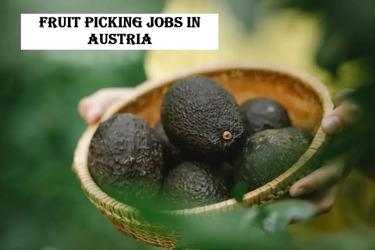 Fruit Picking Jobs in Austria