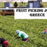 Fruit Picking Jobs in Greece