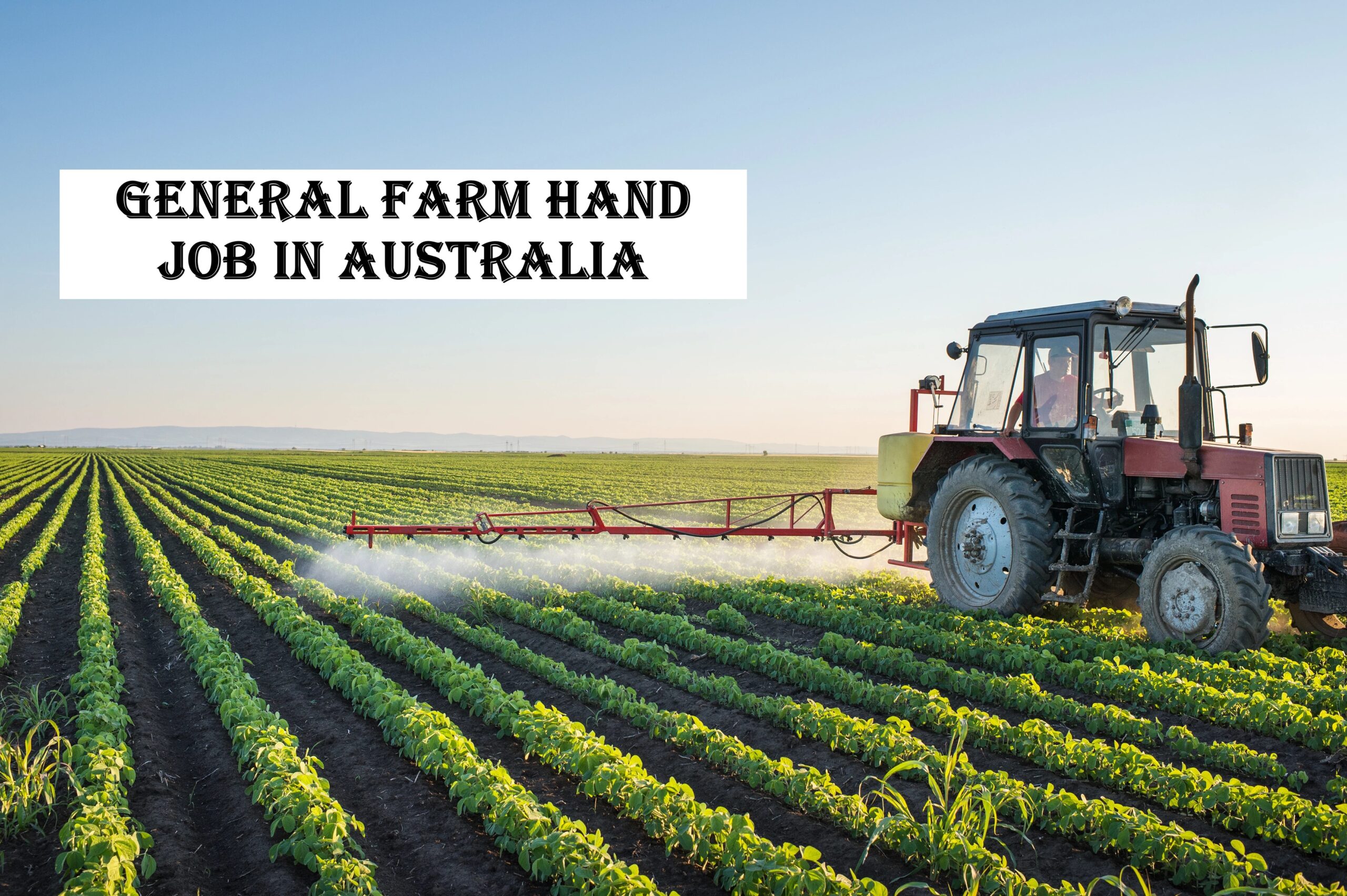 General Farm Hand Job in Australia