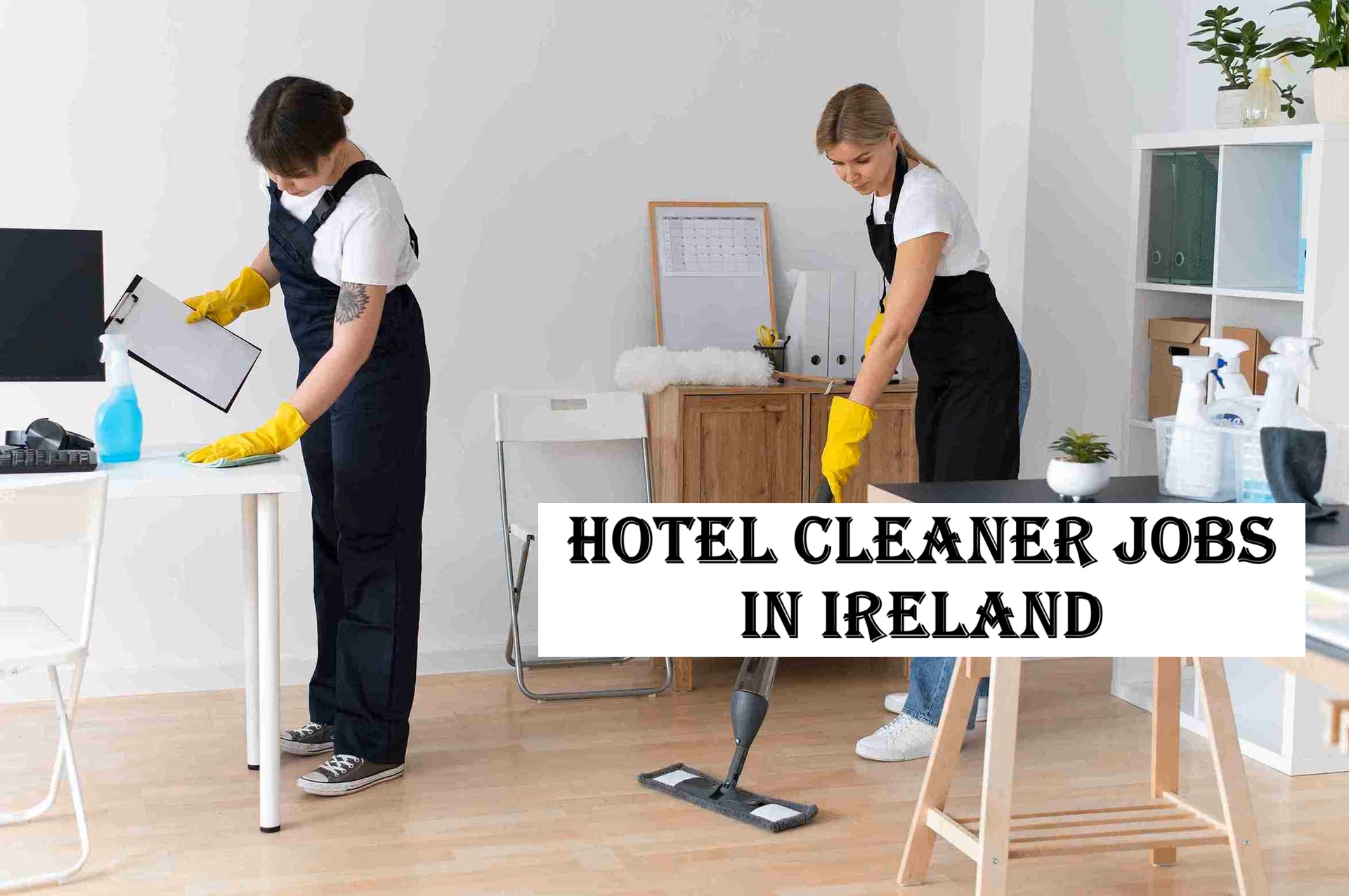 Hotel Cleaner Jobs in Ireland