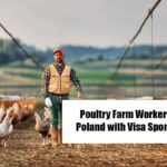 Poultry Farm Jobs in Poland