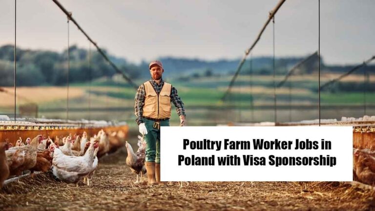Poultry Farm Jobs in Poland