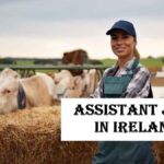 Dairy Farm Assistant Jobs in Ireland