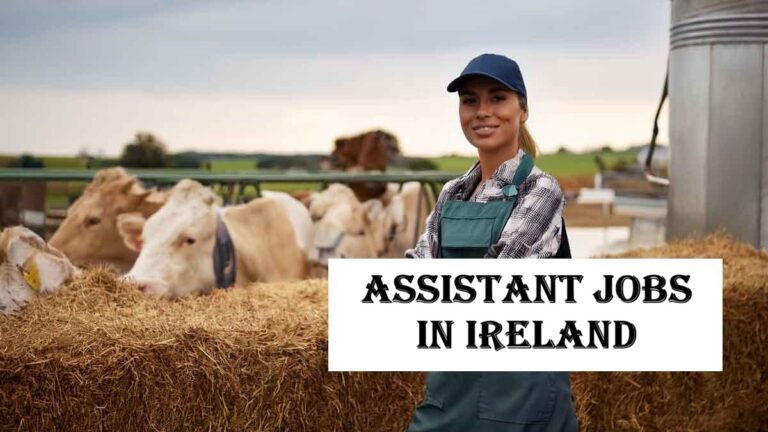 Dairy Farm Assistant Jobs in Ireland