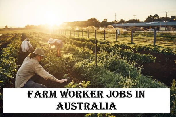 Farm Worker Jobs in Australia