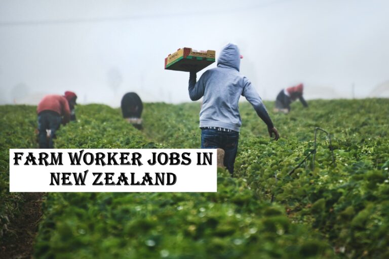 Farm Worker Jobs in New Zealand