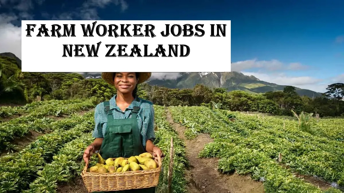 Farm Worker Jobs in New Zealand