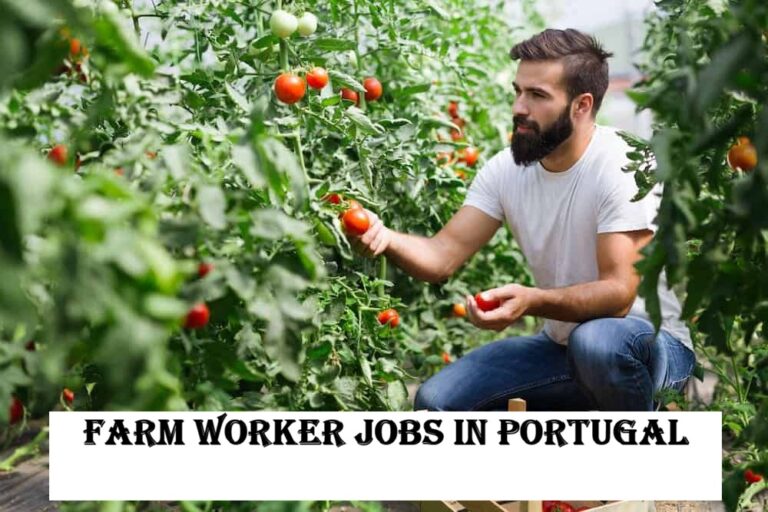 Farm Worker Jobs in Portugal