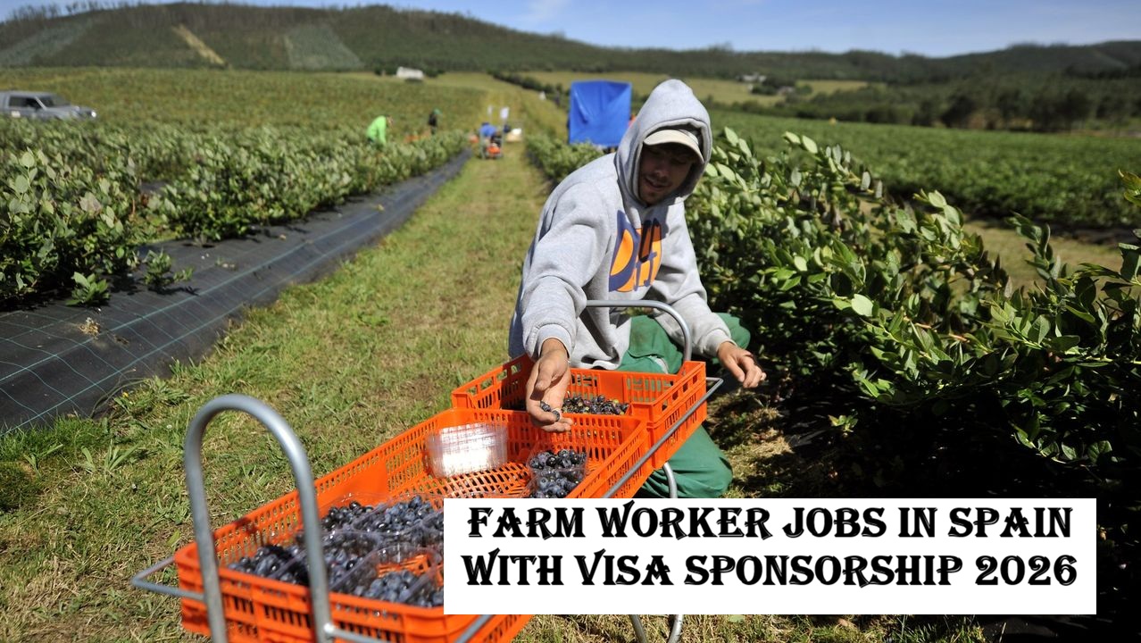 Farm Worker Jobs in Spain