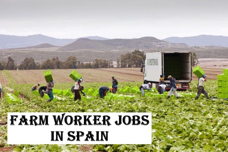 Farm Worker Jobs in Spain
