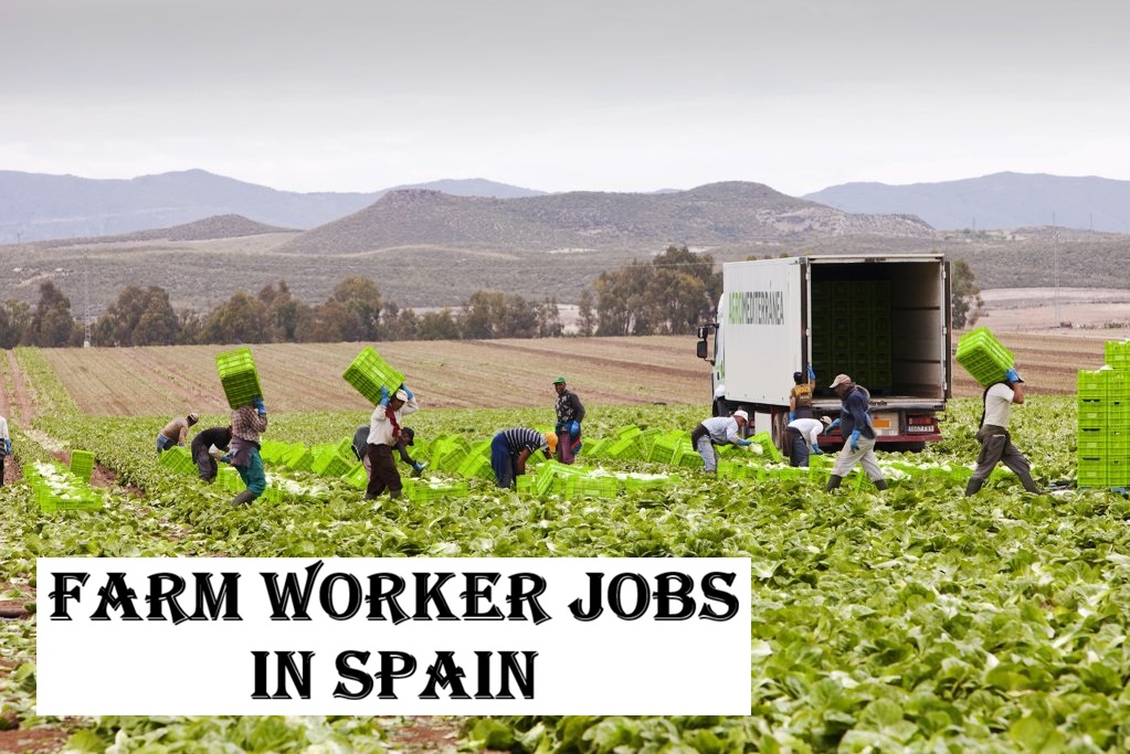 Farm Worker Jobs in Spain