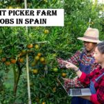 Fruit Picker Farm Jobs in Spain