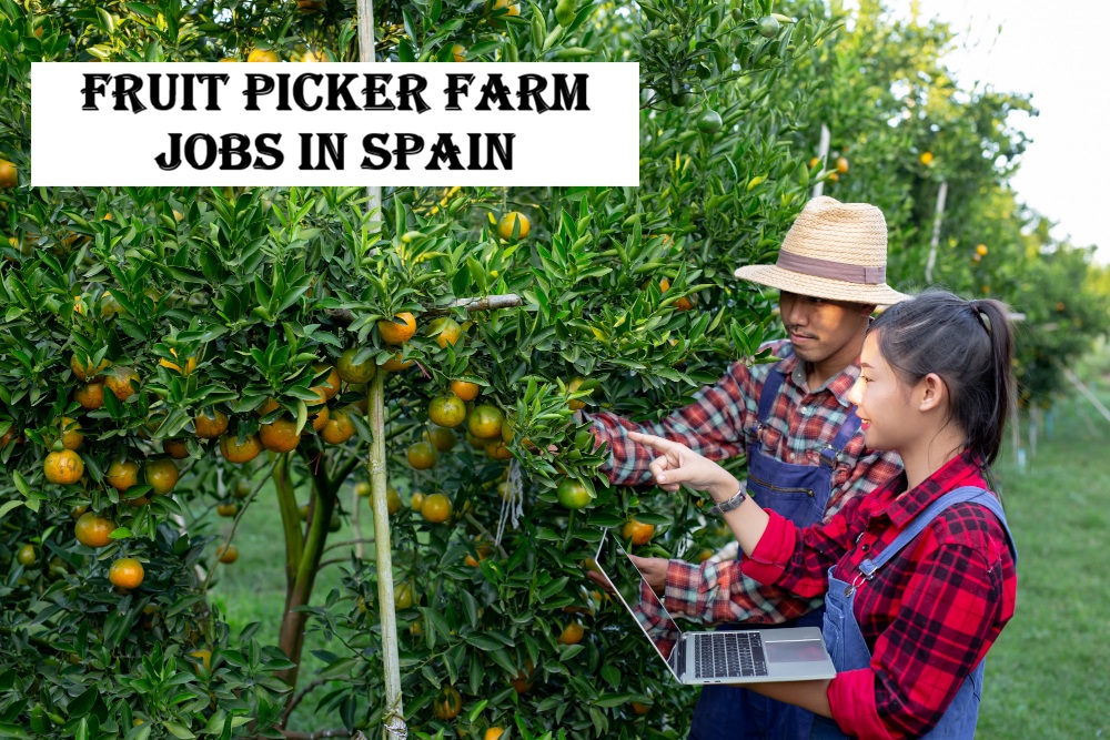 Fruit Picker Farm Jobs in Spain