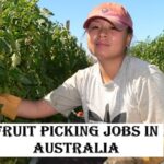 Fruit Picking Jobs in Australia