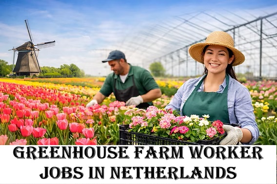 Greenhouse Farm Worker Jobs in Netherlands
