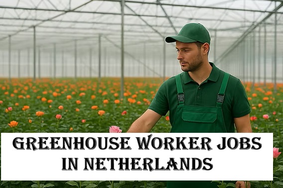 Greenhouse Worker Jobs in Netherlands