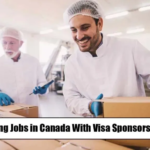 Packing Jobs in Canada