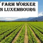 Dairy Farm Worker Jobs in Luxembourg