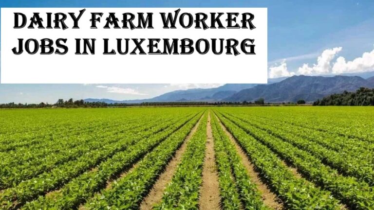 Dairy Farm Worker Jobs in Luxembourg