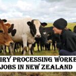 Dairy Processing Worker Jobs in New Zealand