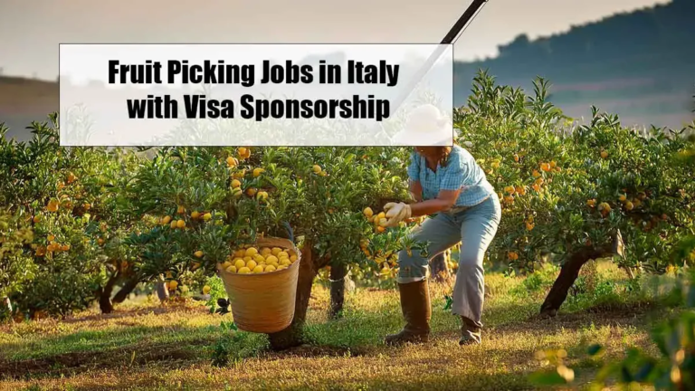 Farm Fruit Picker Jobs in Italy