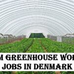 Farm Greenhouse Worker Jobs in Denmark