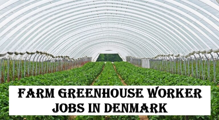 Farm Greenhouse Worker Jobs in Denmark