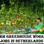 Farm Greenhouse Worker Jobs in Netherlands