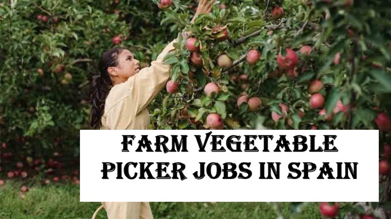 Farm Vegetable Picker Jobs in Spain