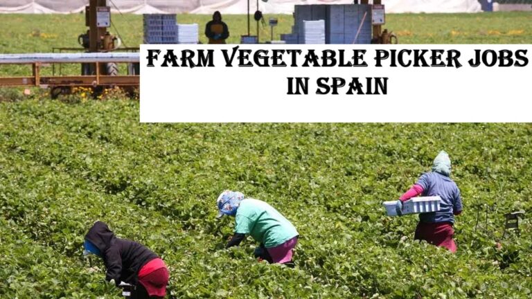 Farm Vegetable Picker Jobs in Spain