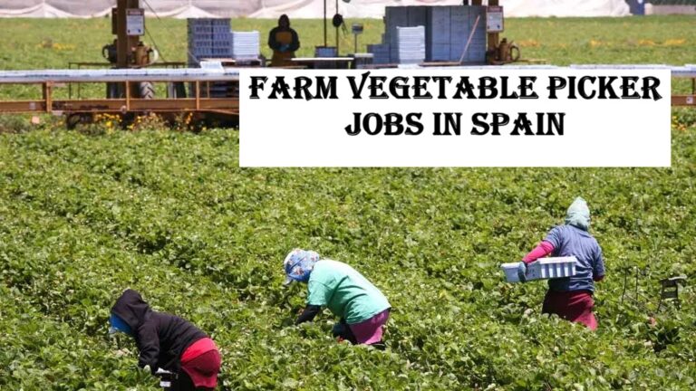 Farm Vegetable Picker Jobs in Spain