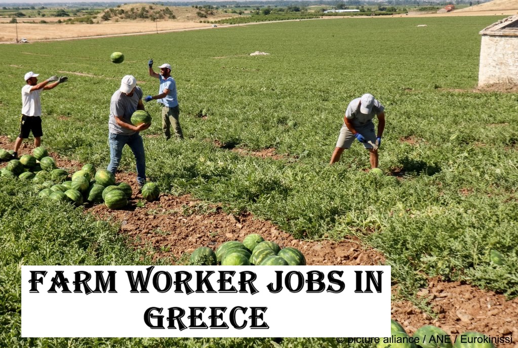 Farm Worker Jobs in Greece