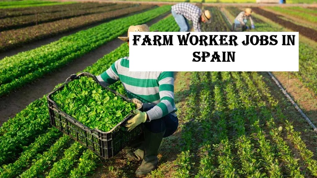 Farm Worker Jobs in Spain