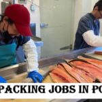 Fish Packing Jobs in Poland